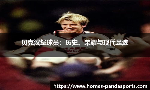 熊猫体育平台